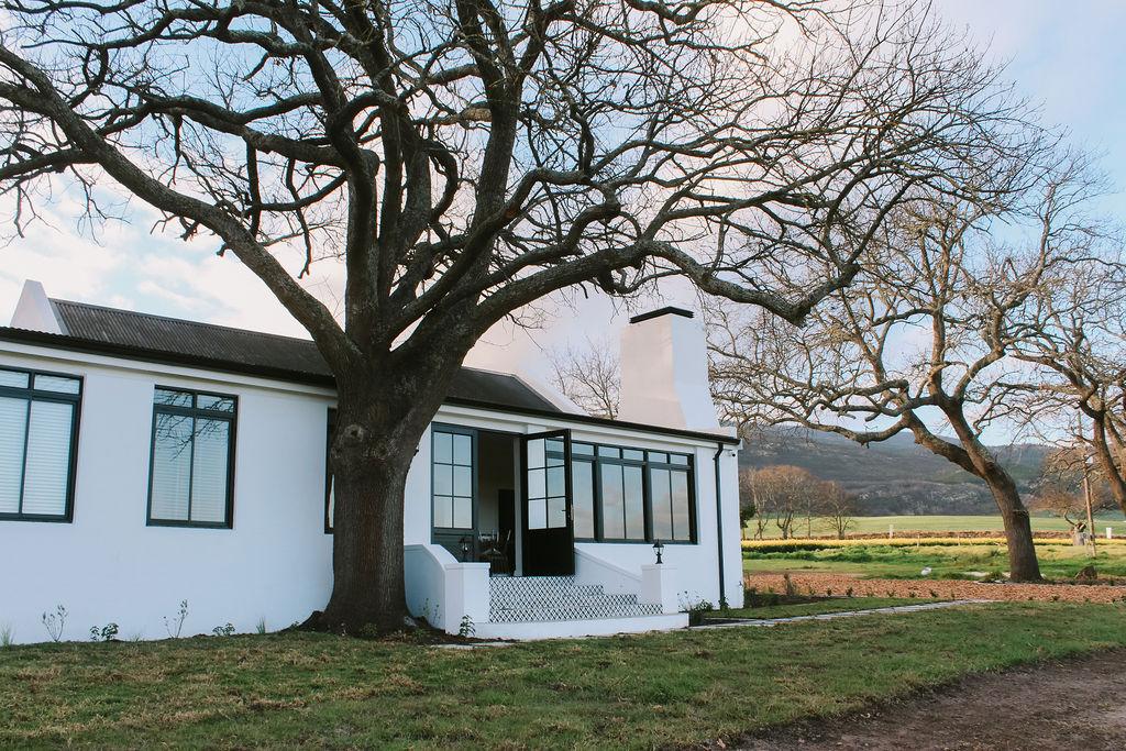 The Meadow with Moantain background and Oak trees