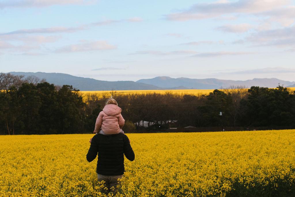 The Meadow Exterior View - Side