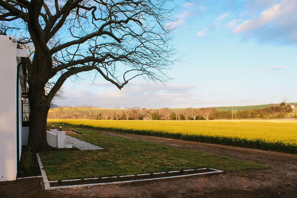 The Meadow Exterior View - Side